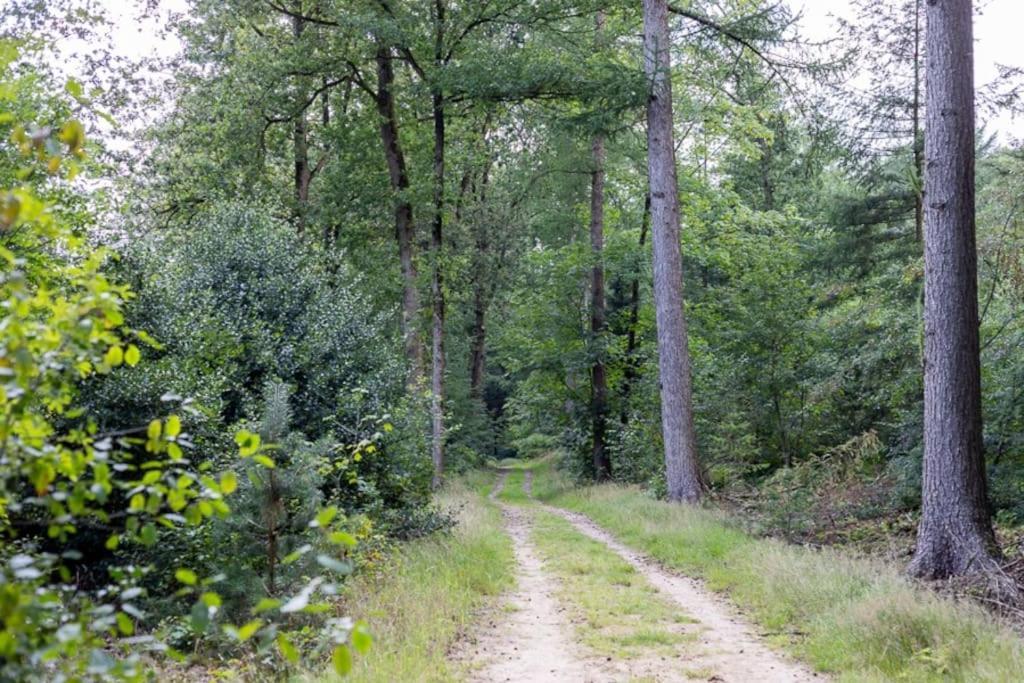 הוילה Doldersum Leva - Logeren In Drenthe מראה חיצוני תמונה